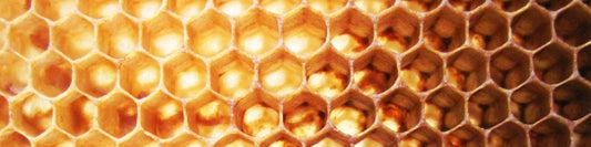 Beeswax Candles 101: Does Colour Indicate Purity? How To Spot A Fake Beeswax Candle