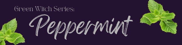 The Magickal & Mundane Properties of Peppermint
