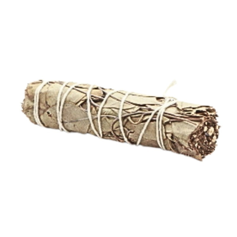 Australian Eucalyptus Smudge Stick