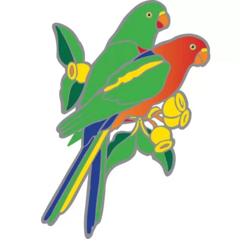 colourful window sticker of 2 king parrots