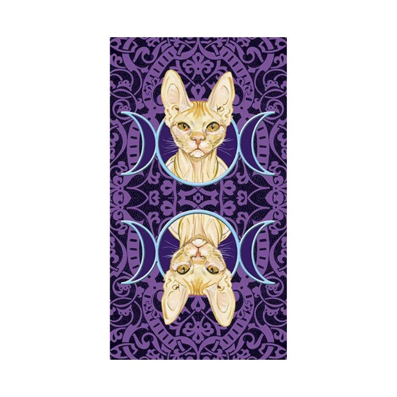 Back of Card from the Tarot of Pagan cats