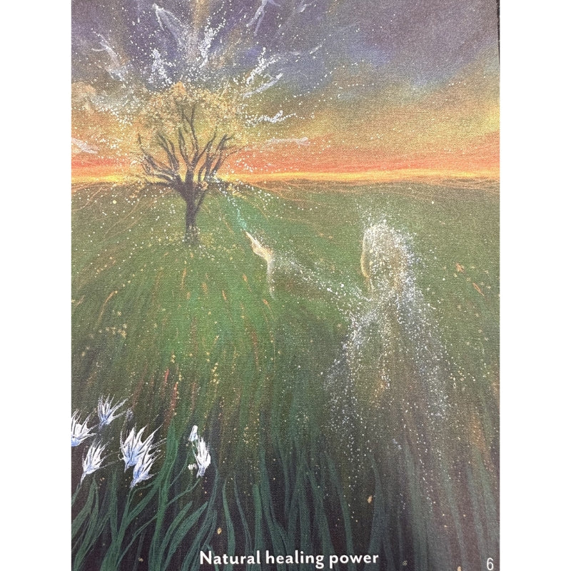 Healing Spirits Oracle Cards