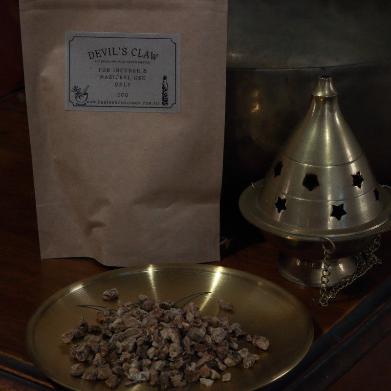 devils claw herb on incense plate
