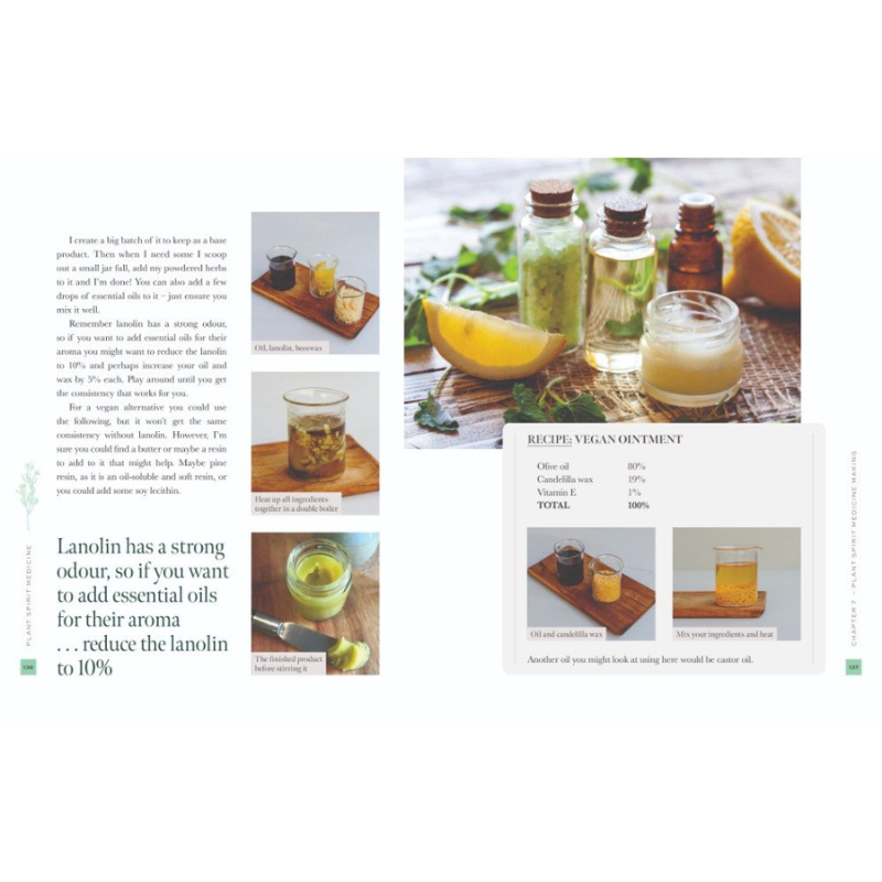 Plant Spirit Medicine- A Guide to Making Healing Products from Nature