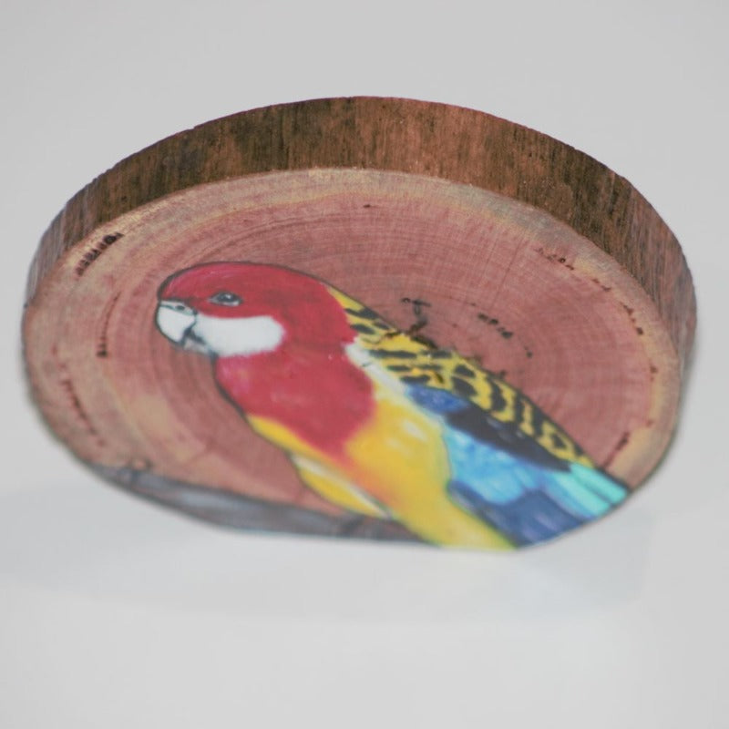 Australian Eastern Rosella painted on a round of wood Wood