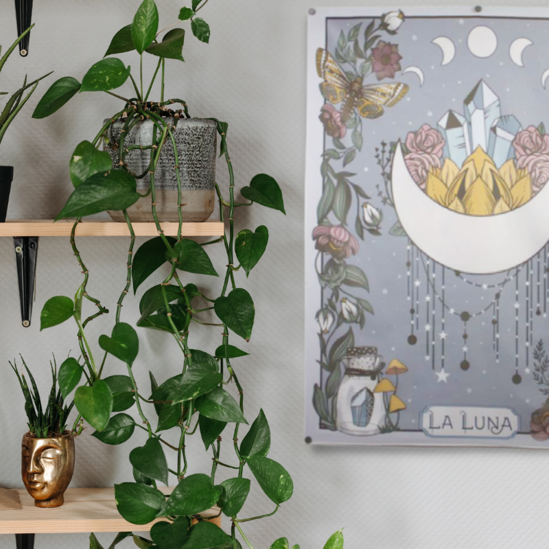 wall hanging of a crescent moon with points facing upwards, crystals and flowers inside the space between the points. The rectangular tapestry is bordered with vines, flowers and crystals. Tapestry is hanging on a grey wall next to 2 wooden shelves. the tope shelf has a cement plantar pot with a dark green vine, the bottom shelf has a bronze coloured head shaped pot with a spiky green plant.