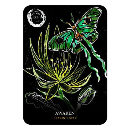 Flowers Of The Night Oracle