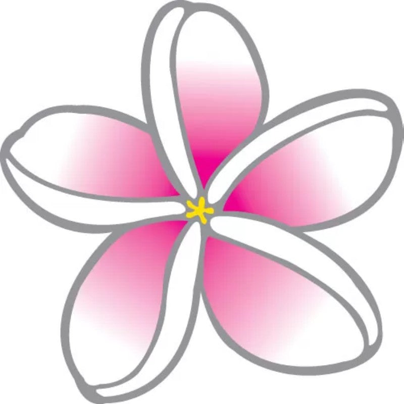 colourful window sticker of a pink frangipani