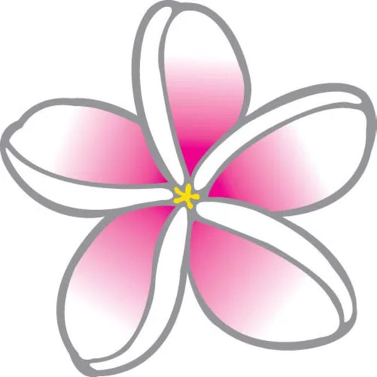 colourful window sticker of a pink frangipani