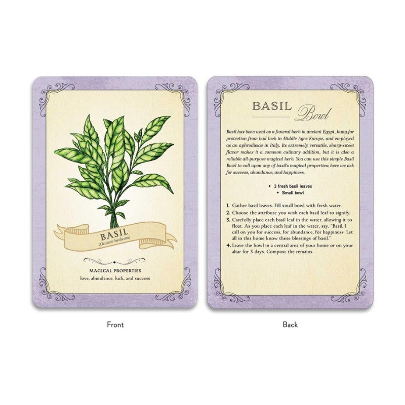 Two cards showing the front and back of a basil plant card with text and illustrations.