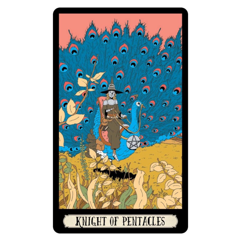 card from the the Ask the witch tarot deck 
